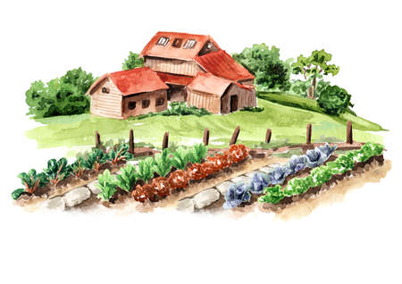 Vegetable beds and farm house. Rural scene. Spring work on the fafm. Hand drawn watercolor illustration isolated on white backgroundの写真素材