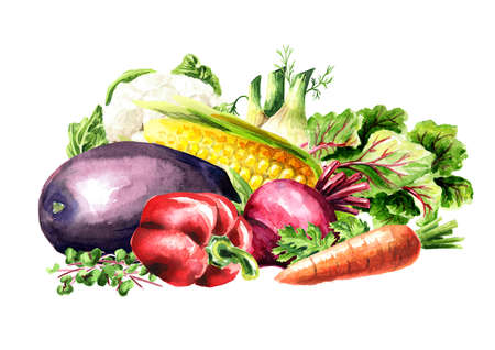 Vegan Market. fresh vegetables. Hand drawn watercolor illustration isolated on white backgroundの写真素材