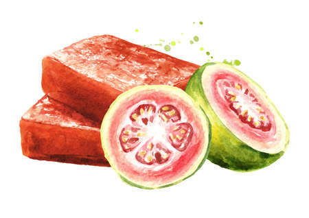 Homemade Guava marmalade, jam, jelly. Hand drawn watercolor illustration isolated on white backgroundの写真素材