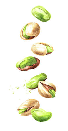 Falling pistachio nuts. Watercolor hand drawn illustration isolated on white backgroundの写真素材