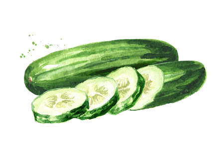 Green whole and cut Cucumber, Watercolor hand drawn illustration, isolated on white backgroundの写真素材