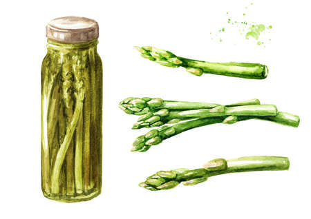 Canned asparagus set. Hand drawn watercolor illustration, isolated on white backgroundの写真素材