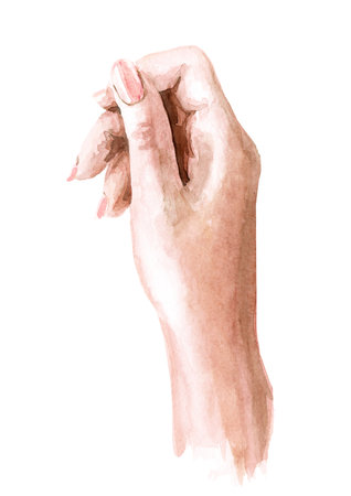 Woman hand. Hand drawn watercolor illustration isolated on white backgroundの写真素材
