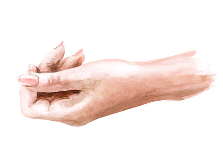 Woman hand. Hand drawn watercolor illustration, isolated on white backgroundの写真素材
