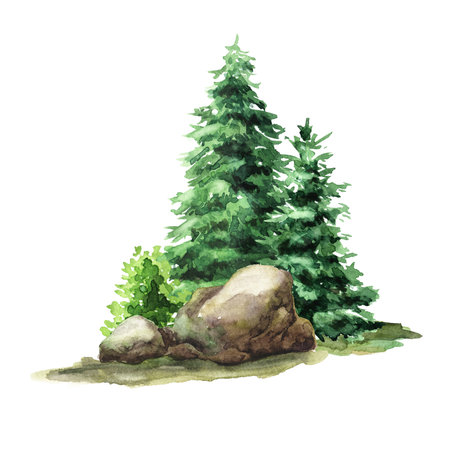 Forest landscape with rocks and fir trees. Hand drawn watercolor illustration, isolated on white backgroundの写真素材