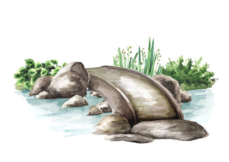 Garden walking path and small stone bridge, Landscape design. Hand drawn watercolor illustration, isolated on white backgroundの写真素材