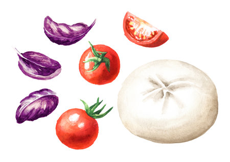 Burrata soft cheese with tomatoes and basil set. Hand drawn watercolor illustration isolated on white backgroundの写真素材