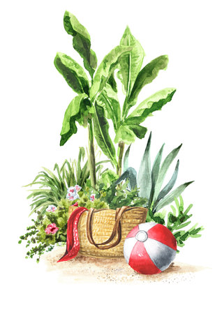 Wicker beach bag with and Beach Ball on rhe sand on the background of the tropical plants, Hand drawn watercolor illustration isolated on white backgroundの写真素材