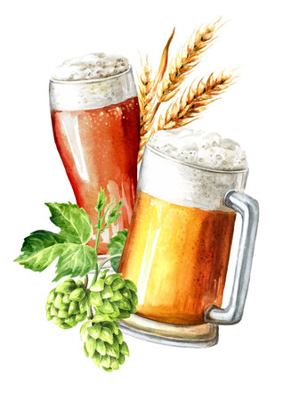 Light beer and Fresh green hops and ears of wheat and barley. Hand drawn watercolor illustration isolated on white backgroundの写真素材