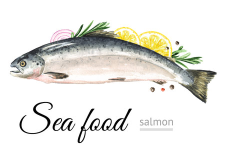 Fresh fish Salmon, seafood. Hand drawn watercolor illustration, isolated on white backgroundの写真素材