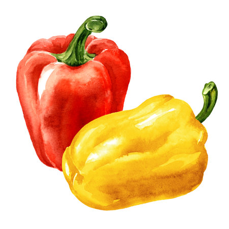 Multicolored Sweet bell pepper with green leaves, Watercolor hand painted illustration isolated on white backgroundの写真素材