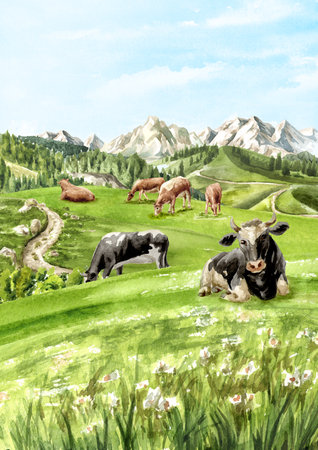 Cows on the alpen midow, Hand drawn watercolor illustration with copy spaceの写真素材