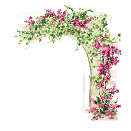 Architectural arch decorated with plants and flowers. Hand drawn watercolor illustration with copy space, isolated on white backgroundの写真素材