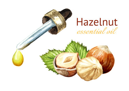 Hazelnut essential oil. Hand drawn watercolor illustration, isolated on white backgroundの写真素材
