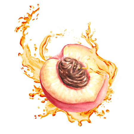 Splash of Peach juice. Hand drawn watercolor illustration isolated on white backgroundの写真素材