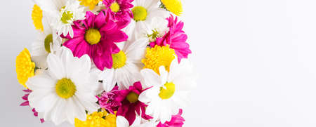 Spring bouquet of chrysanthemum flowers, floral background, Women's Day