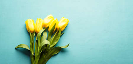 Yellow tulips on a blue wooden background, a bouquet of flowers, a horizontal banner, copy space