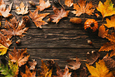 autumn background. frame made of maple leaves, cones and acorns