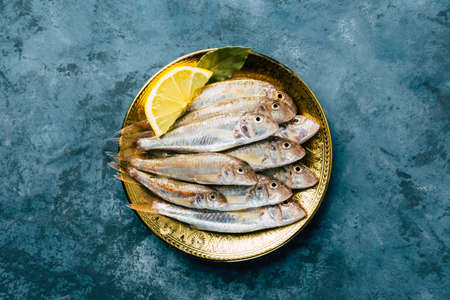 Fresh red mullet. Sultan fish on a blue background.