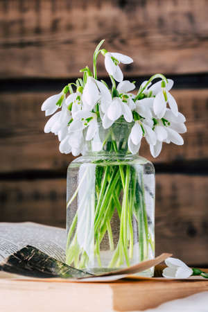 Snowdrops in a glass vase. First spring flowersの写真素材