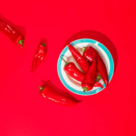 Vegetable Minimal still life. Red pepper on a plateの写真素材