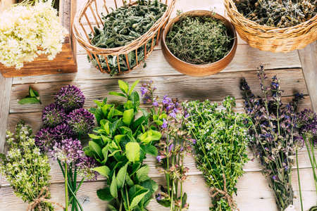 Harvest of medicinal plants. Healing spicy herbs on a white wooden background. Alternative medicine. Ayurvedaの写真素材