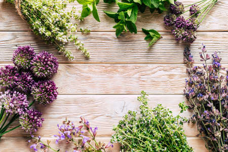 Herbal frame. Harvesting of medicinal herbs. Alternative medicine. Homeopathyの写真素材