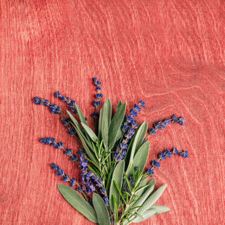 Sage leaves, lavender and rosemary on a wooden background. Fresh spicy herbs.の写真素材