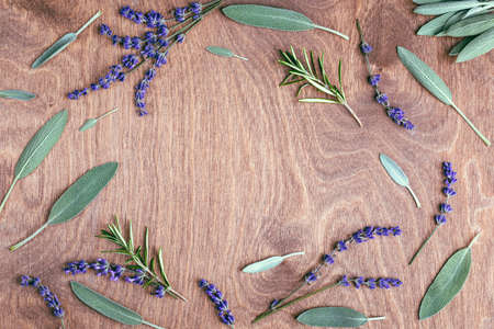 Floral frame made of sage, rosemary and lavender leavesの写真素材