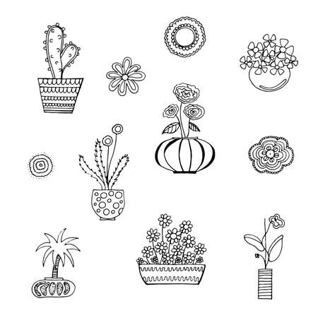 Vector image of a cute home potted plantsのイラスト素材