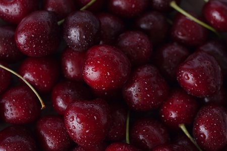 Group of fresh cherriesの写真素材