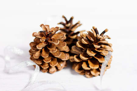 Christmas decoration with three cones on white rusty backgroundの写真素材