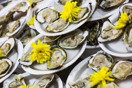 Seafood, oyster  shellfish , served with yellow flowersの写真素材