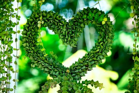 Green heartの写真素材