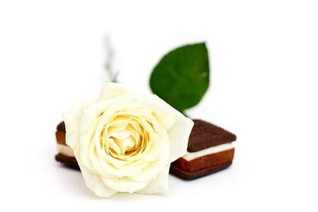 White rose with chocolate cookies (romantic breakfast)の写真素材