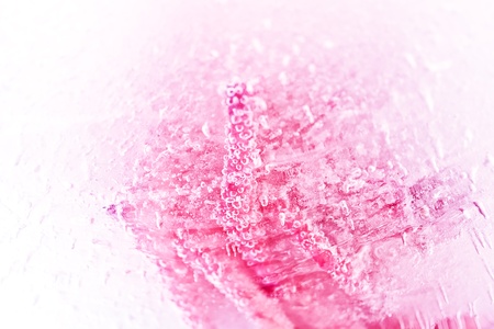 Abstract rose in ice with frozen bubblesの写真素材