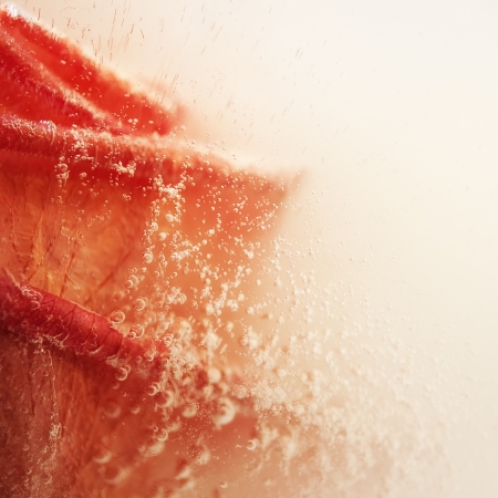 Abstract rose in ice with frozen bubblesの写真素材