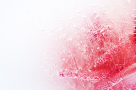 Abstract rose in ice with frozen bubbles