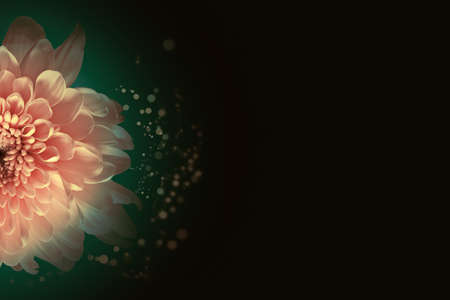 Abstract flower background, over beautiful dark gradientの写真素材