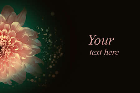 Abstract flower background, over beautiful dark gradientの写真素材