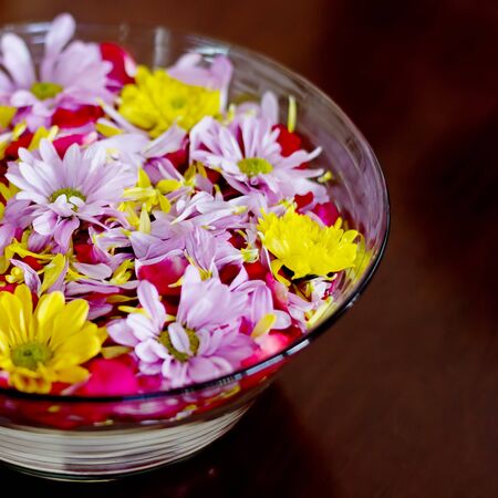 Bowl with chrysanthemum flowers. Spa background.の写真素材