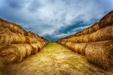 Landscape with hay bales on the field after harvest. Stormy sky. Selective focus mainly on the right side.の写真素材