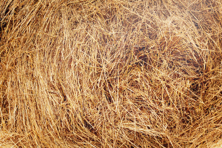 Haystack after harvest  Structure, background  Golden colors, rural scene の写真素材