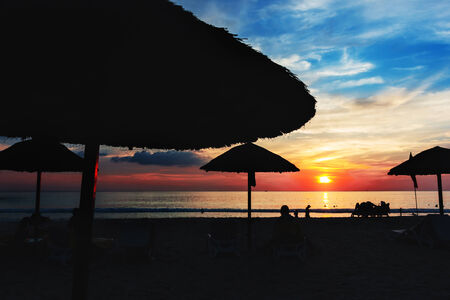 Sunset at the beach with sun umbrellas. Dark contrast picture with silhouettes.の写真素材