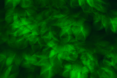 Abstract defocused background with green leavesの写真素材