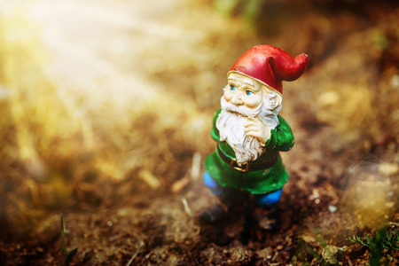 Dreamy garden dwarf in sun lightの写真素材