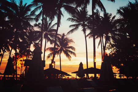 Tropical beach with palm trees and umbrellas silhouettes in sunset light.の写真素材