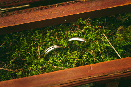 Wedding engagement rings close up lying on moss. Nature wedding. Rustic style decoration.