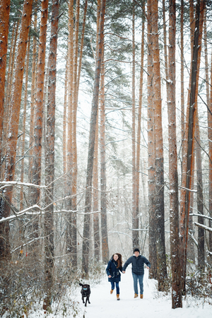 Young Family Having Fun with a Dog in Winter Countryside on Vacations. Copy Space for Text. Selective Focus.の写真素材