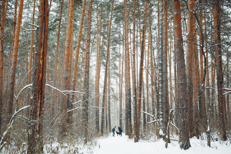 Young Couple with a Dog Having Fun in Winter Forest on Holidays. Copy Space for Text.の写真素材